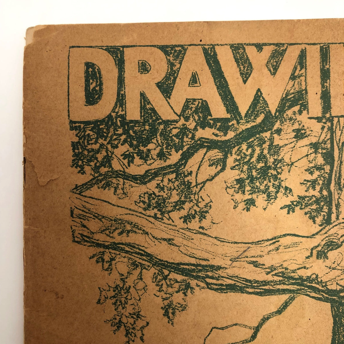 Drawing Trees by Victor Perard 1945 First Edition – critical EYE Finds