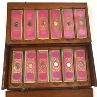 Box Full of Butterfly Wings--Lovely Victorian Case of Glass Specimen Slides