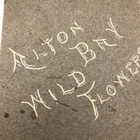 Alton Bay, NH Wildflowers, Super Sweet and Lovely Antique Handmade Mini Herbarium