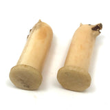 Alaskan Inuit Carved Tusk Polar Bear Salt and Pepper Shakers