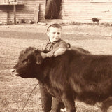 Boy, Cow, Dog, Pregnant Mother, Couple, Beautiful Antique Mounted Albumen Farm Photograph