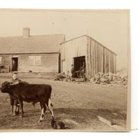 Boy, Cow, Dog, Pregnant Mother, Couple, Beautiful Antique Mounted Albumen Farm Photograph