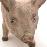 Old Composition Pig with Blue Eyes and Unusual Spring Tail