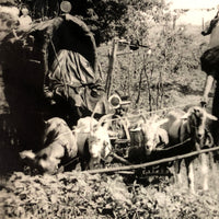 Character-full Homesteaders with Goat-drawn Wagons, Curious c. 1940s RPPC