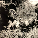 Character-full Homesteaders with Goat-drawn Wagons, Curious c. 1940s RPPC