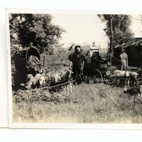 Character-full Homesteaders with Goat-drawn Wagons, Curious c. 1940s RPPC