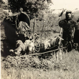 Character-full Homesteaders with Goat-drawn Wagons, Curious c. 1940s RPPC