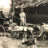 Character-full Homesteaders with Goat-drawn Wagons, Curious c. 1940s RPPC