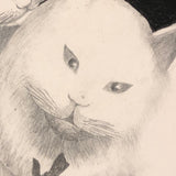 Fluffy White Cats with Portrait Miniature, Charming Old Graphite and Charcoal Drawing