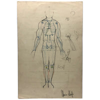 Marcia Hoyle's Large Vintage Anatomical Drawing with Sacrum Heart at the Center