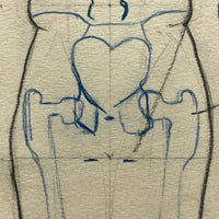 Marcia Hoyle's Large Vintage Anatomical Drawing with Sacrum Heart at the Center