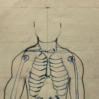 Marcia Hoyle's Large Vintage Anatomical Drawing with Sacrum Heart at the Center