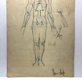 Marcia Hoyle's Large Vintage Anatomical Drawing with Sacrum Heart at the Center