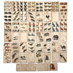 Marvelous 19th Century Hand-colored Paper Dominoes with Animals in Pretty Victorian Box