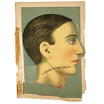 Early 20th C. Fold Out Illustration: Head and Brain