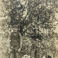 The Apple Pickers, Wonderful Antique Real Photo Postcard