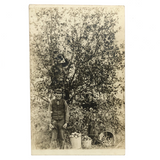 The Apple Pickers, Wonderful Antique Real Photo Postcard