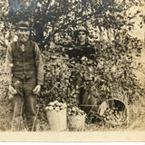 The Apple Pickers, Wonderful Antique Real Photo Postcard