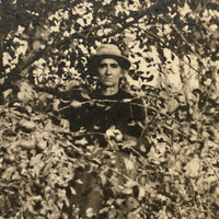 The Apple Pickers, Wonderful Antique Real Photo Postcard