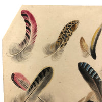 Flock of Feathers! Stunning Fine 19th C. Ink and Watercolor