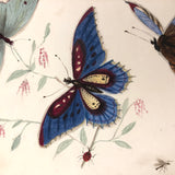 Butterflies and Tiny Bugs, 19th Century Ink and Watercolor