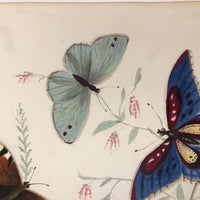 Butterflies and Tiny Bugs, 19th Century Ink and Watercolor