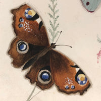 Butterflies and Tiny Bugs, 19th Century Ink and Watercolor