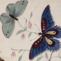 Butterflies and Tiny Bugs, 19th Century Ink and Watercolor