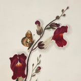 Butterfly on Flowering Branch with Shadows , Fine 19th Century Watercolor