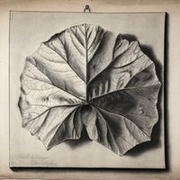 Trompe l'Oeil Leaf, Gorgeous 1879 Large Charcoal Drawing, Philadelphia School of Design