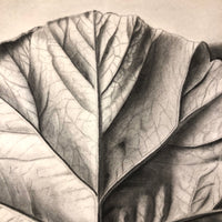 Trompe l'Oeil Leaf, Gorgeous 1879 Large Charcoal Drawing, Philadelphia School of Design