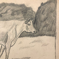 Adelaide's Cow (or Cow Named Adelaide!), Antique Graphite Drawing