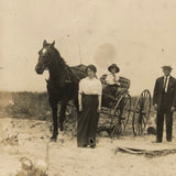 Buggy, Cabin, Sense of Drama, Striking Antique Gelatin Silver Print