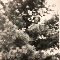 Man in Pine Tree with Cigarette, 1932 Snapshot