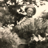 Man in Pine Tree with Cigarette, 1932 Snapshot