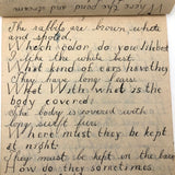 Mary Broucher's Early 20th C. School Notebook with Poetic Lessons and Juxtapositions