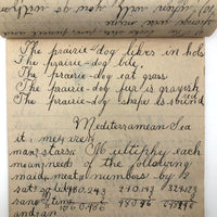 Mary Broucher's Early 20th C. School Notebook with Poetic Lessons and Juxtapositions