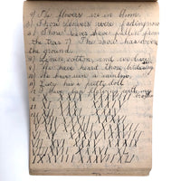 Mary Broucher's Early 20th C. School Notebook with Poetic Lessons and Juxtapositions