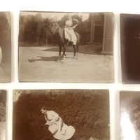 Group of 12 Antique Miniature Photos of Friends at Play