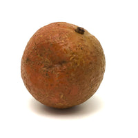 Old Stone Fruit Orange with Smushed Bottom (Good Resting Spot)