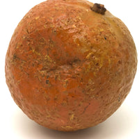 Old Stone Fruit Orange with Smushed Bottom (Good Resting Spot)