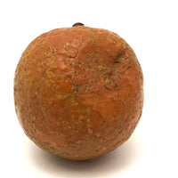 Old Stone Fruit Orange with Smushed Bottom (Good Resting Spot)