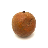 Old Stone Fruit Orange with Smushed Bottom (Good Resting Spot)