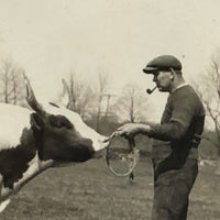 Man with Pipe with Cow, Old Snapshot Photo