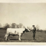 Man with Pipe with Cow, Old Snapshot Photo