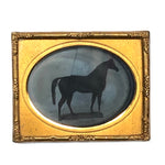 Cruiser, C. 1850s-60s Ninth Plate Ambrotype of Presumed Painting of Famous Stallion