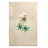 c. 1840s Large Paper Lace Valentine with Watercolor Flower (Blank Interior)