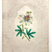 c. 1840s Large Paper Lace Valentine with Watercolor Flower (Blank Interior)