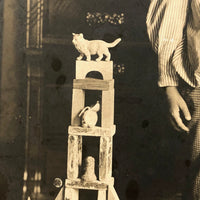 Winsome Child with Excellent Toy Tower, Antique Mounted Photograph