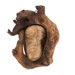 Man of the Wood, Great Old Dramatically Encircled Carved Burl Face